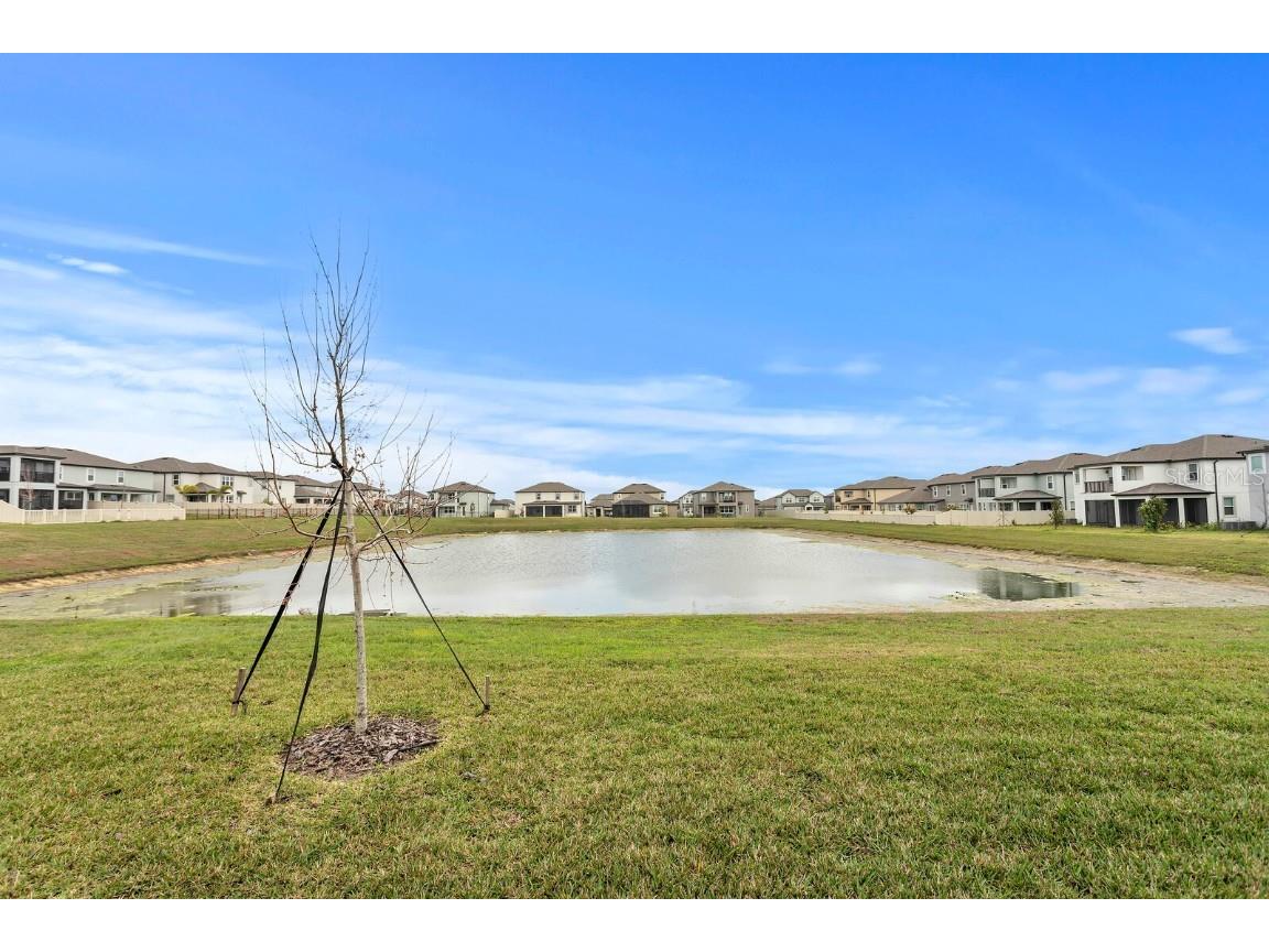 32346 Sapna Chime Drive Wesley Chapel FL 33545 TB8347904 image49