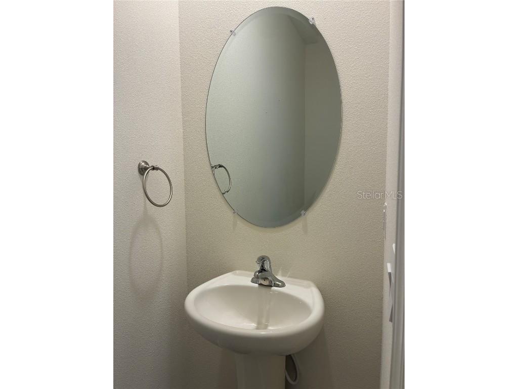 32348 Turtle Grace Loop Wesley Chapel FL 33545 TB8423670 image12