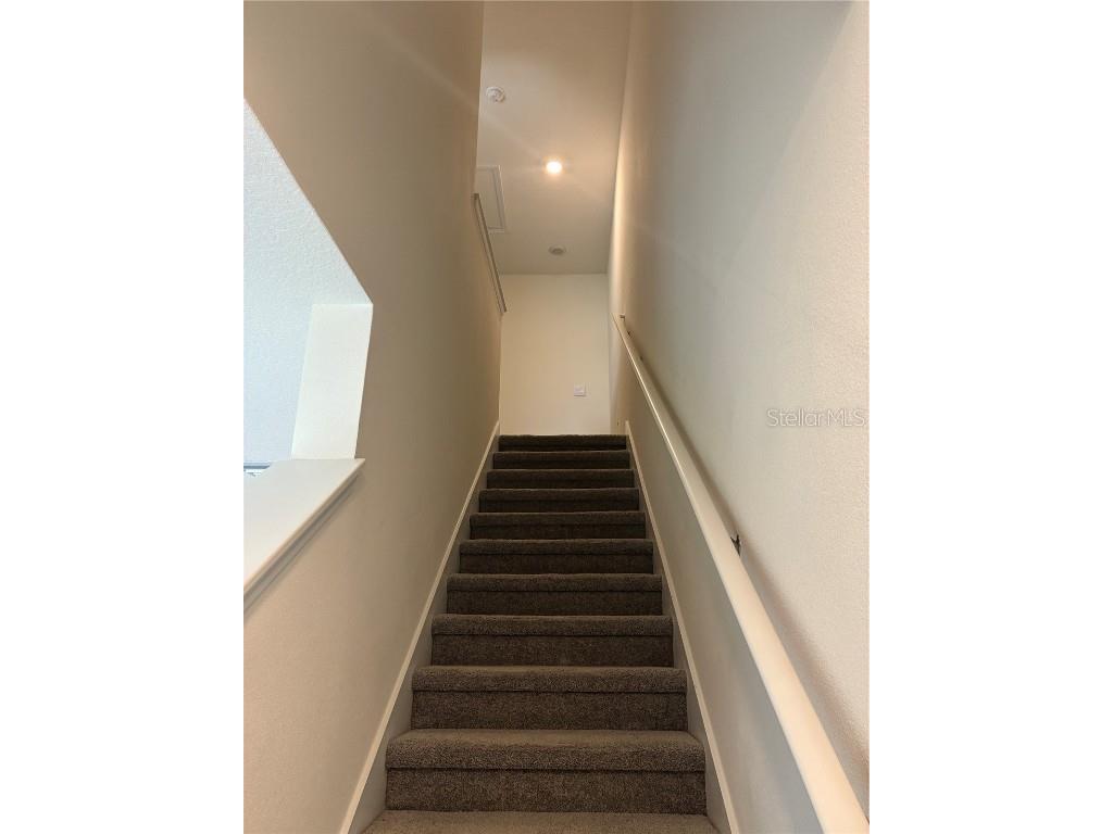 32348 Turtle Grace Loop Wesley Chapel FL 33545 TB8423670 image13