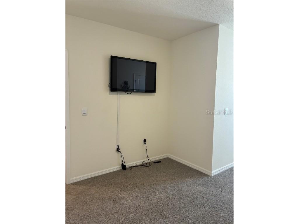 32348 Turtle Grace Loop Wesley Chapel FL 33545 TB8423670 image14