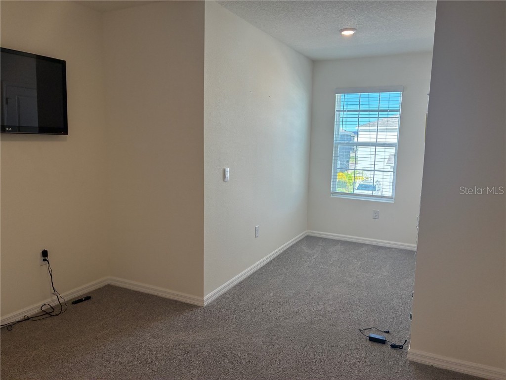 32348 Turtle Grace Loop Wesley Chapel FL 33545 TB8423670 image15