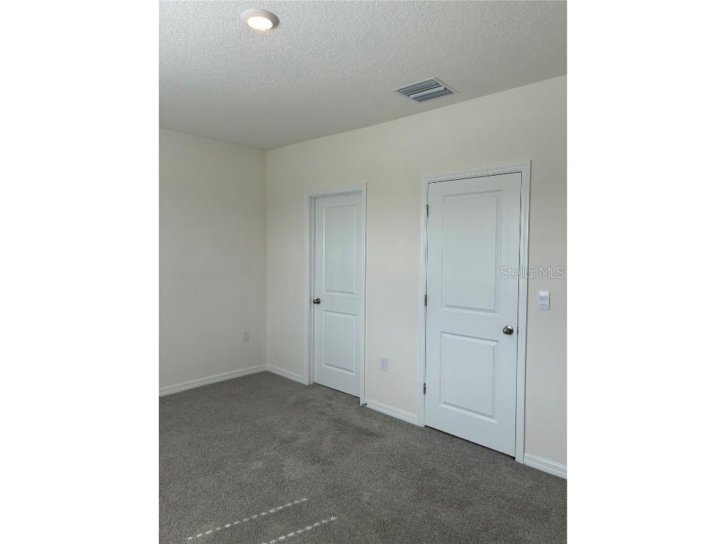 32348 Turtle Grace Loop Wesley Chapel FL 33545 TB8423670 image16