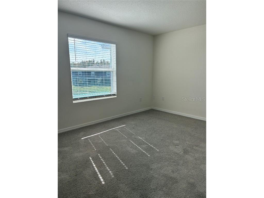 32348 Turtle Grace Loop Wesley Chapel FL 33545 TB8423670 image17