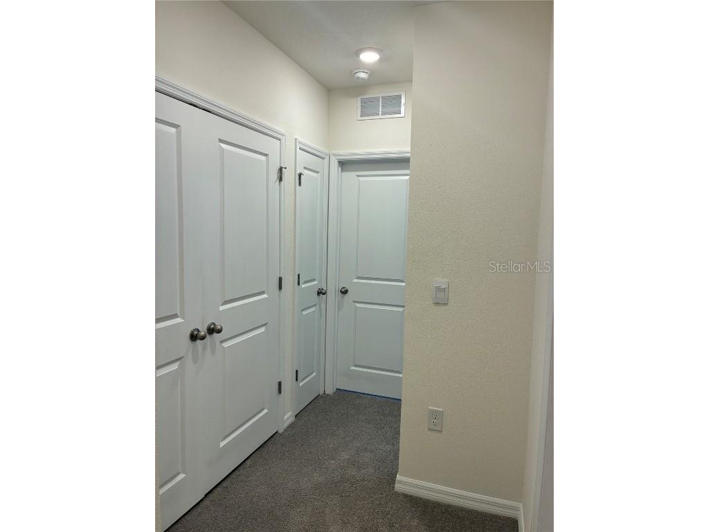 32348 Turtle Grace Loop Wesley Chapel FL 33545 TB8423670 image19