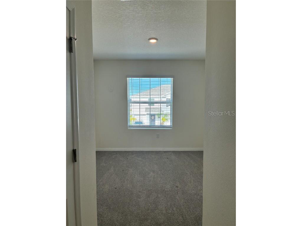 32348 Turtle Grace Loop Wesley Chapel FL 33545 TB8423670 image22