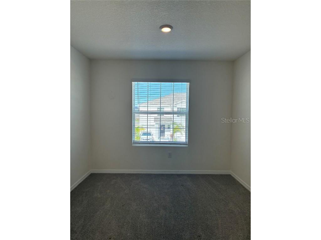 32348 Turtle Grace Loop Wesley Chapel FL 33545 TB8423670 image23