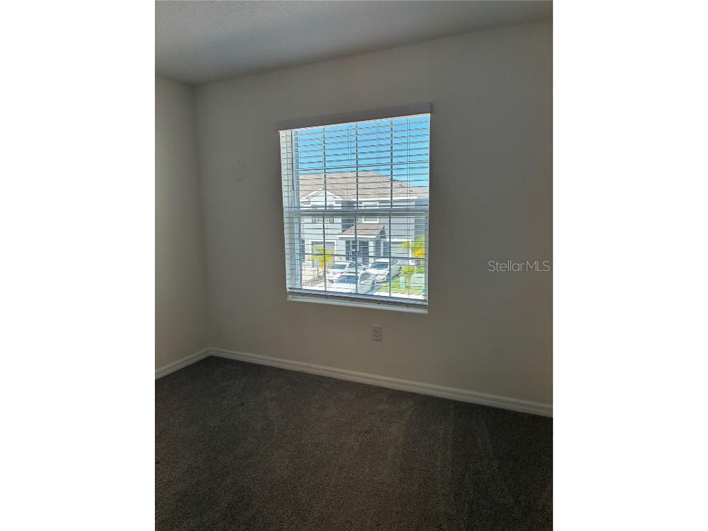 32348 Turtle Grace Loop Wesley Chapel FL 33545 TB8423670 image24