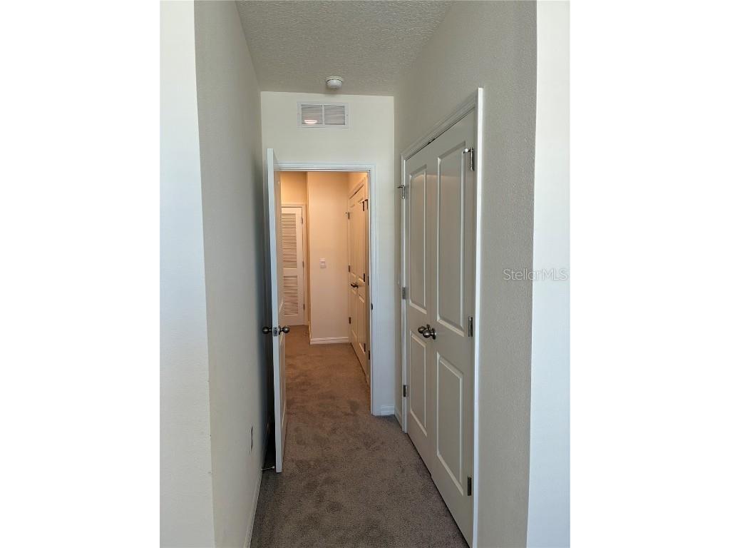 32348 Turtle Grace Loop Wesley Chapel FL 33545 TB8423670 image25