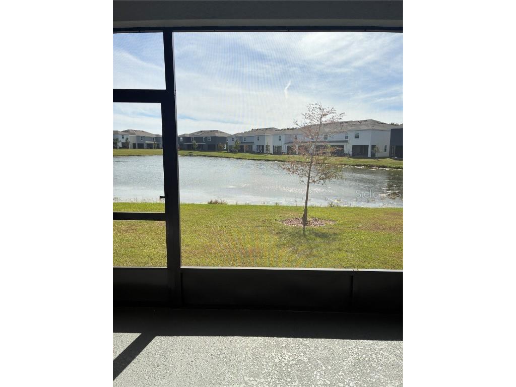 32348 Turtle Grace Loop Wesley Chapel FL 33545 TB8423670 image29