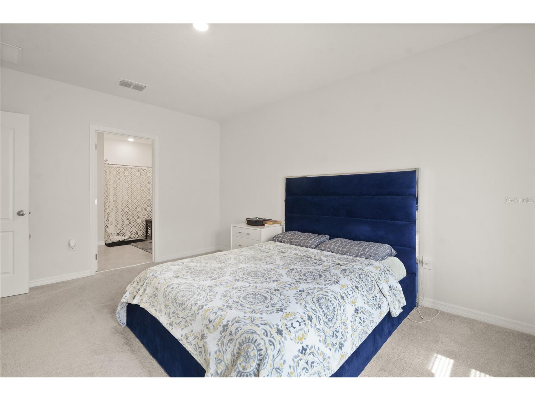 3235 Blue Crab Drive Tavares FL 32778 O6400836 image13