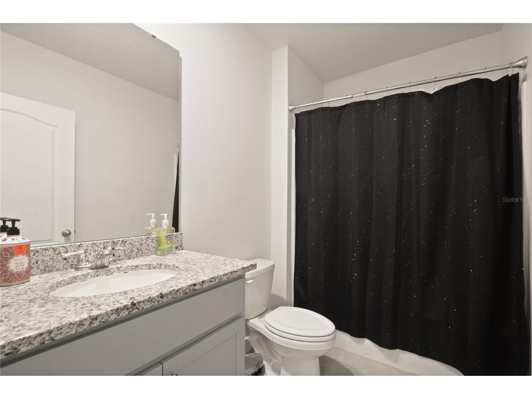3235 Blue Crab Drive Tavares FL 32778 O6400836 image17