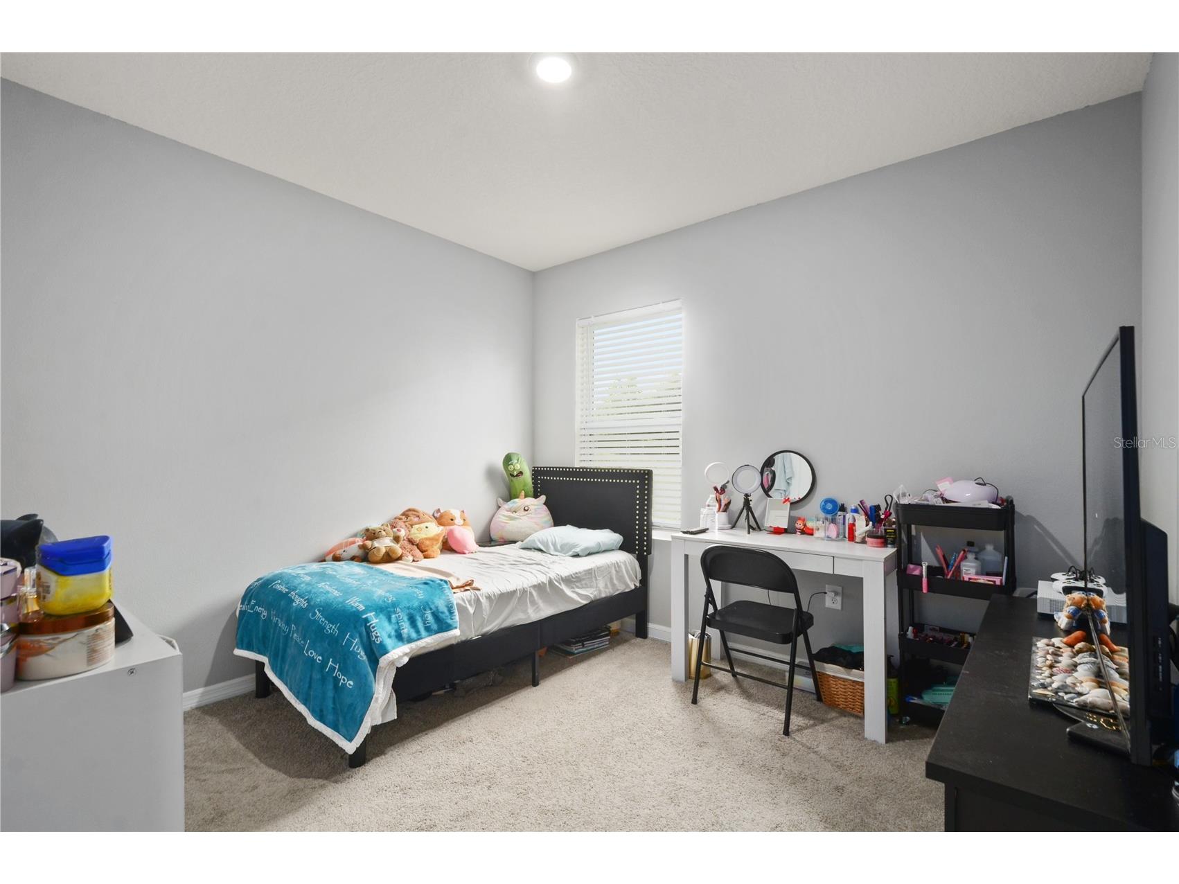 3235 Blue Crab Drive Tavares FL 32778 O6400836 image18