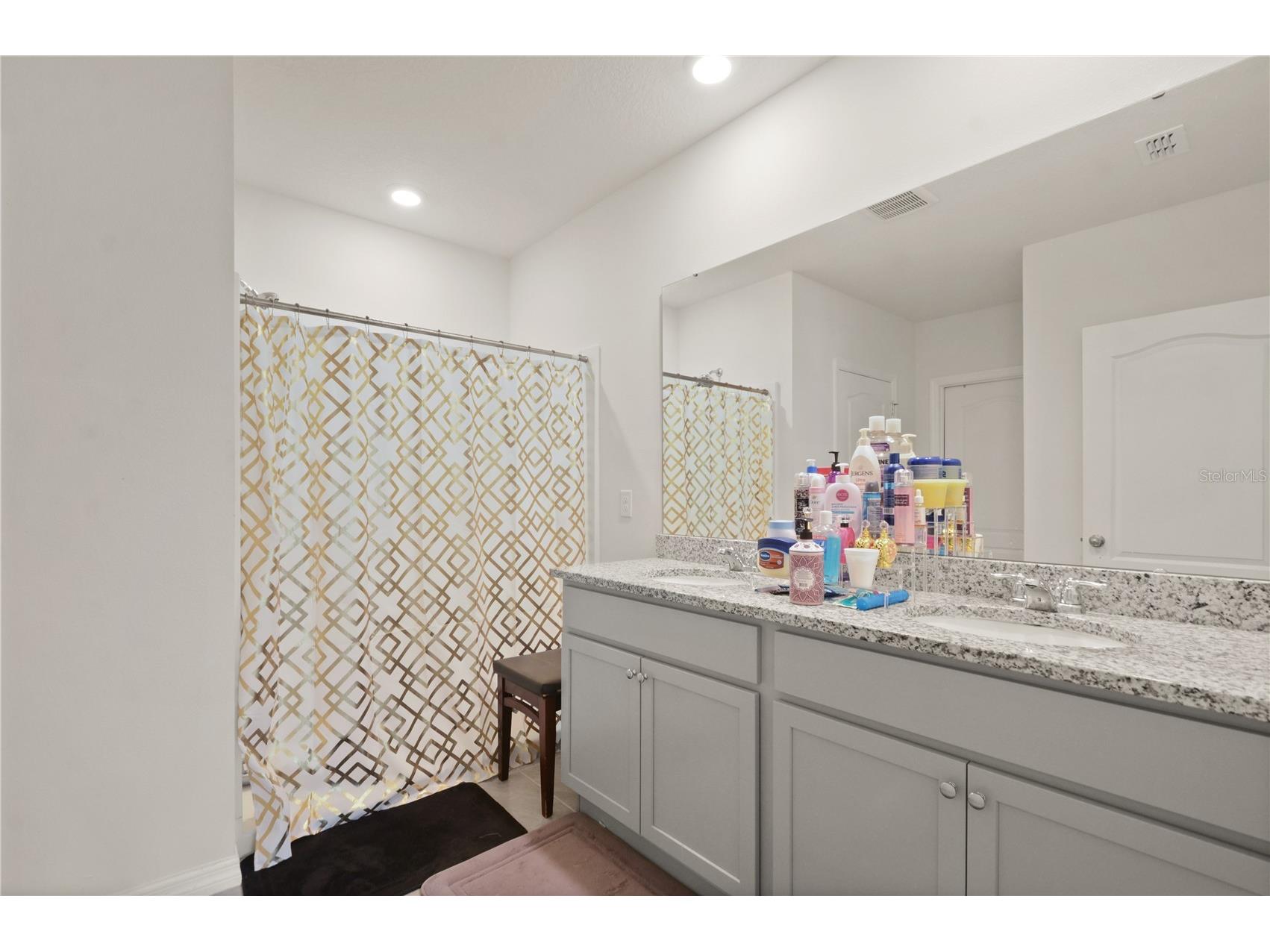 3235 Blue Crab Drive Tavares FL 32778 O6400836 image23