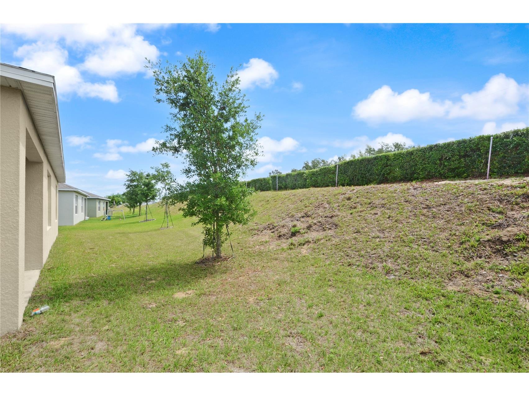 3235 Blue Crab Drive Tavares FL 32778 O6400836 image25