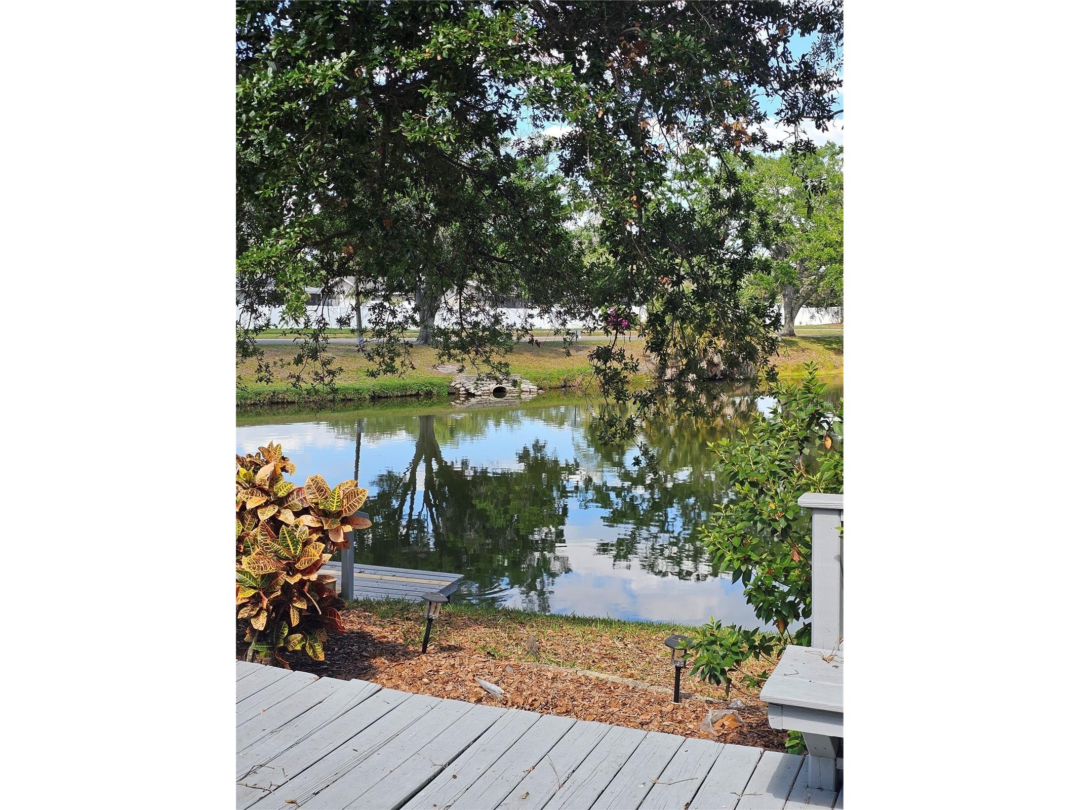 3235 Buckhorn Drive Clearwater FL 33761 TB8504756 image44