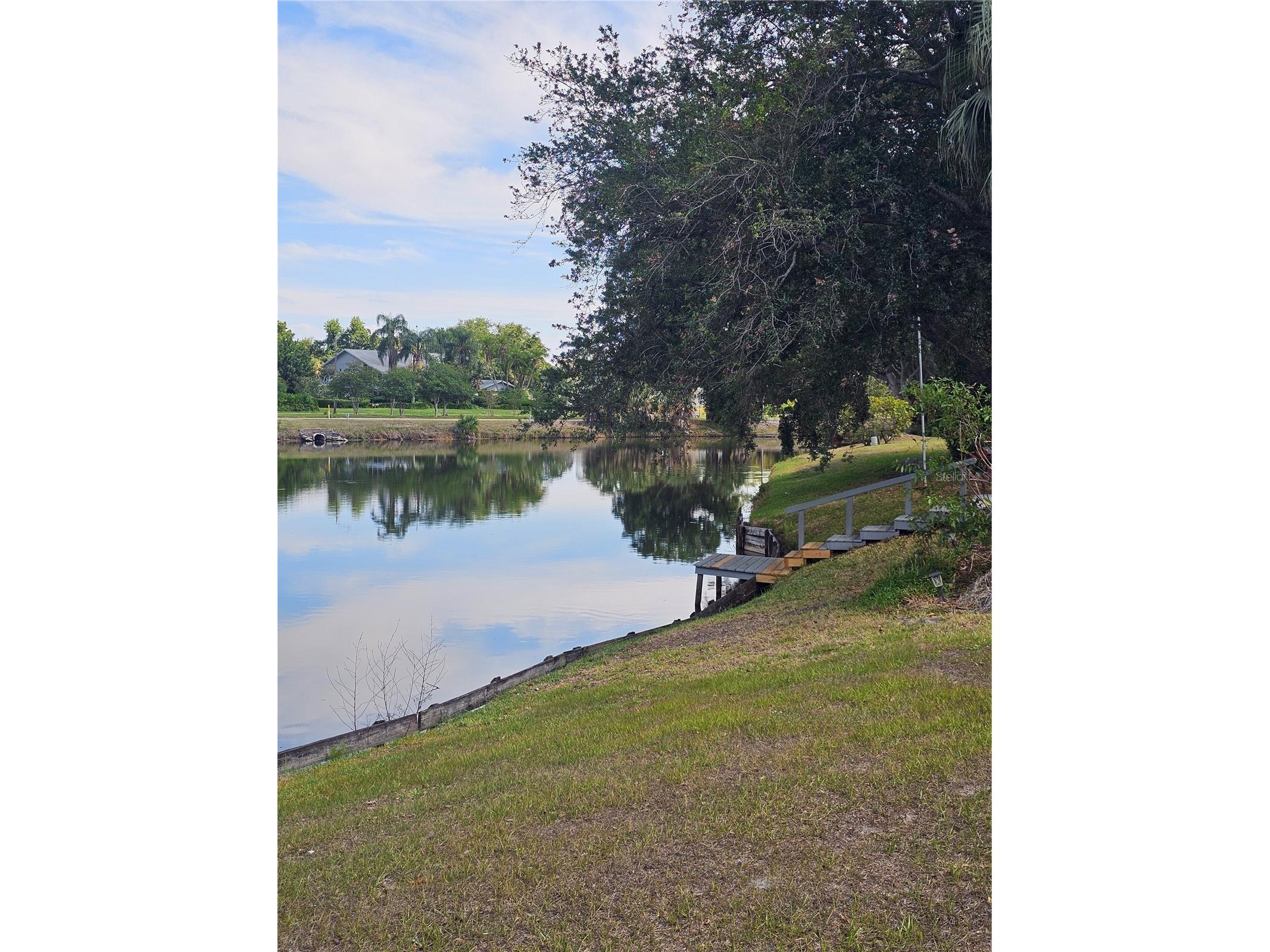 3235 Buckhorn Drive Clearwater FL 33761 TB8504756 image49