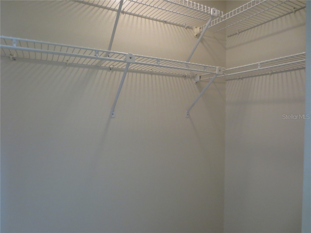 3235 E Dorchester Drive Palm Harbor FL 34684 TB8451259 image42