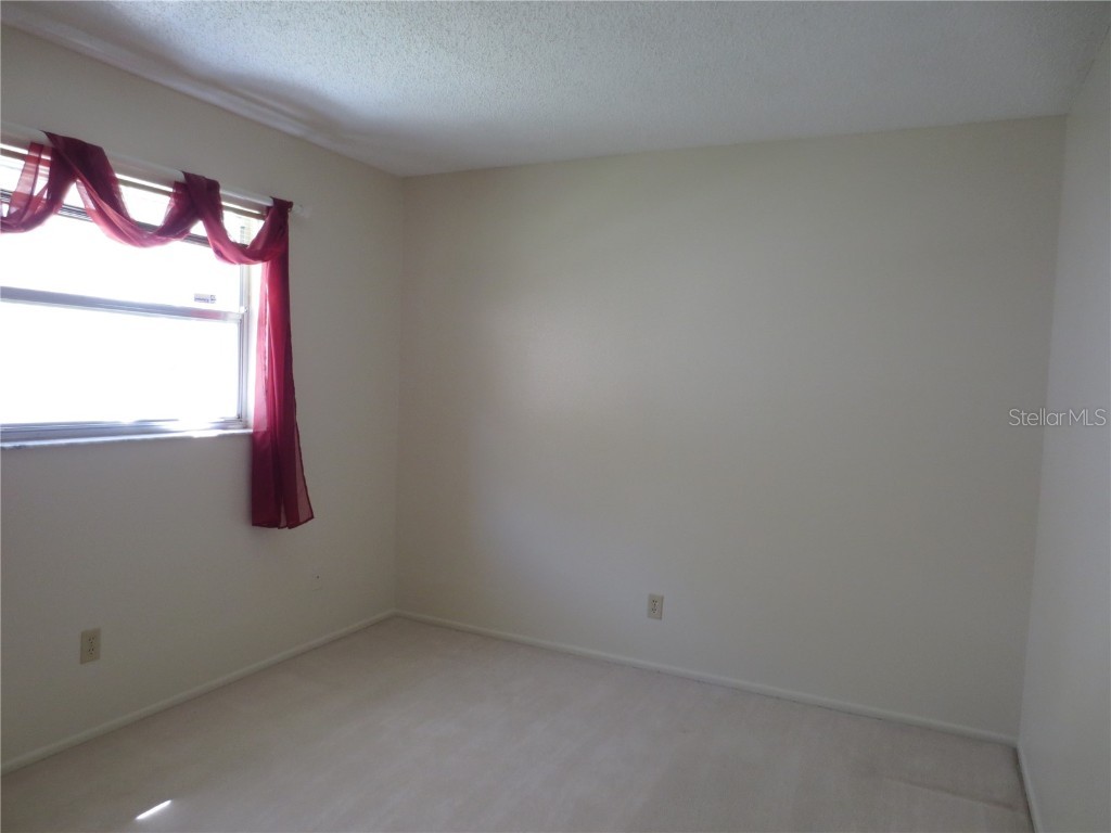 3235 E Dorchester Drive Palm Harbor FL 34684 TB8451259 image43