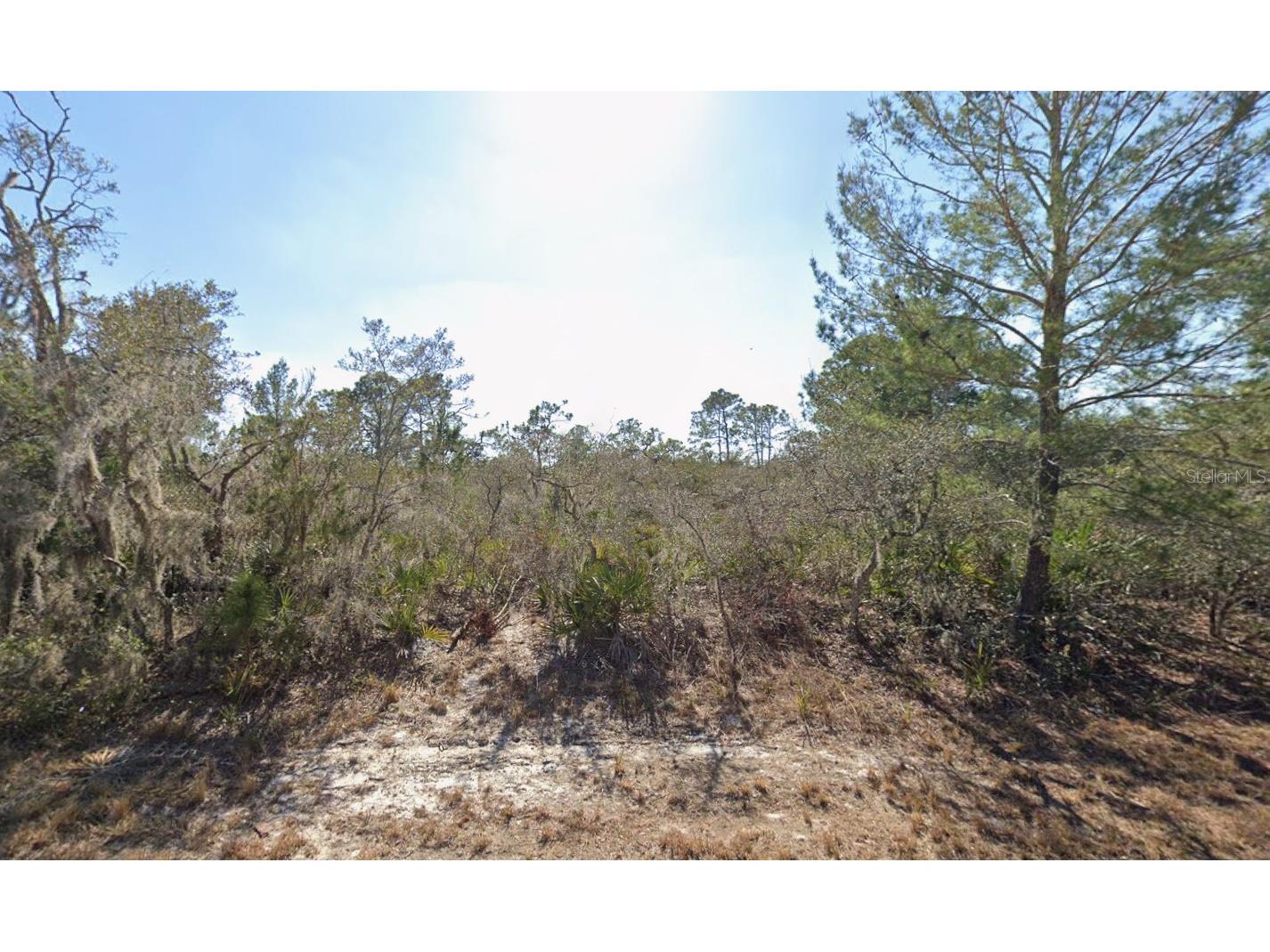 3235 N Dahlia Drive Lake Placid FL 33852 K4903337 image1