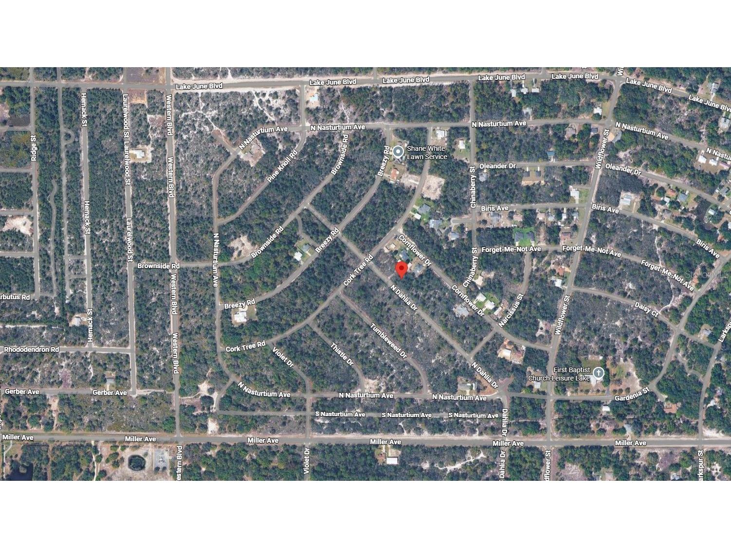 3235 N Dahlia Drive Lake Placid FL 33852 K4903337 image3
