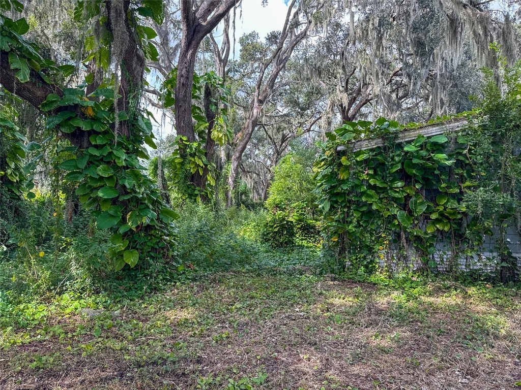 3235 Oakwood Drive Wesley Chapel FL 33543 TB8435082 image13