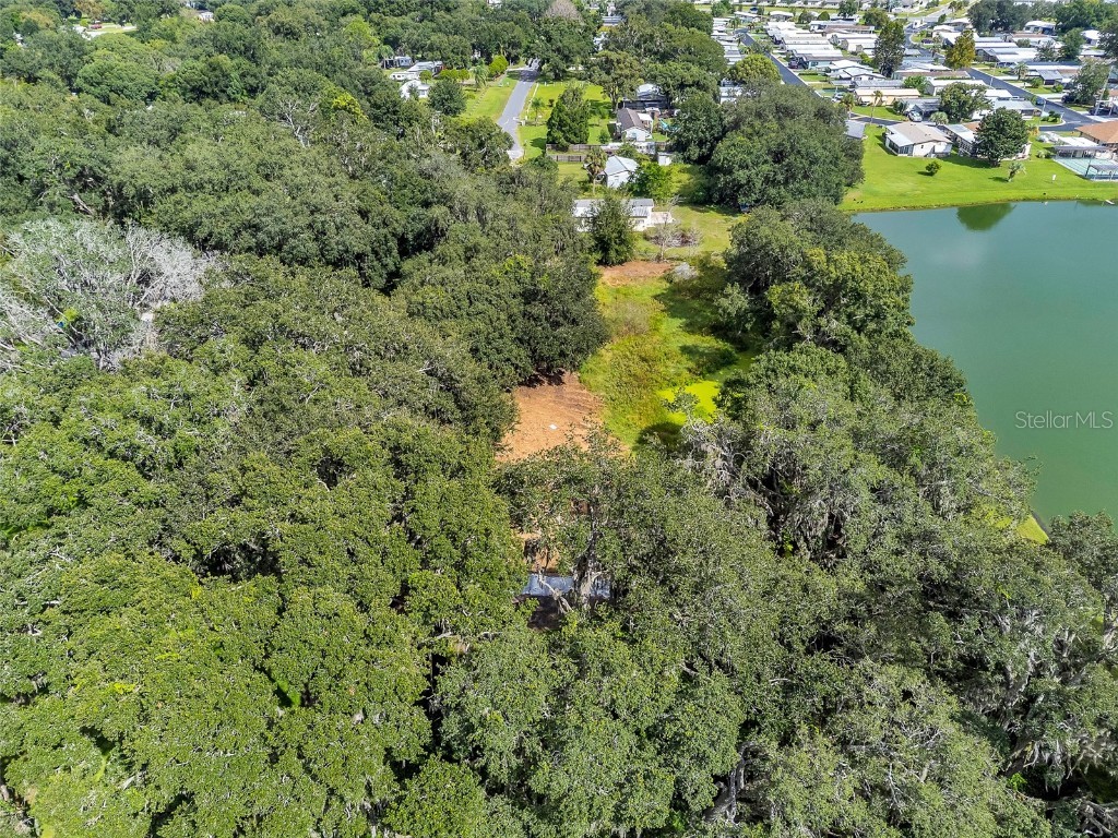 3235 Oakwood Drive Wesley Chapel FL 33543 TB8435082 image16