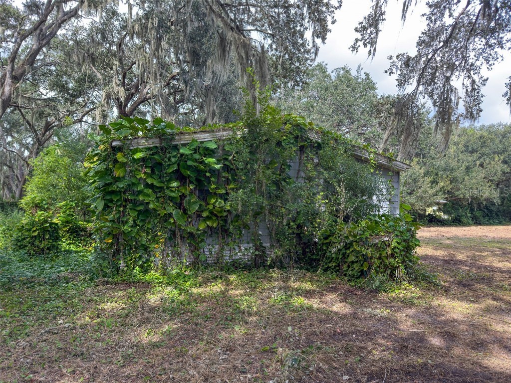 3235 Oakwood Drive Wesley Chapel FL 33543 TB8436038 image12