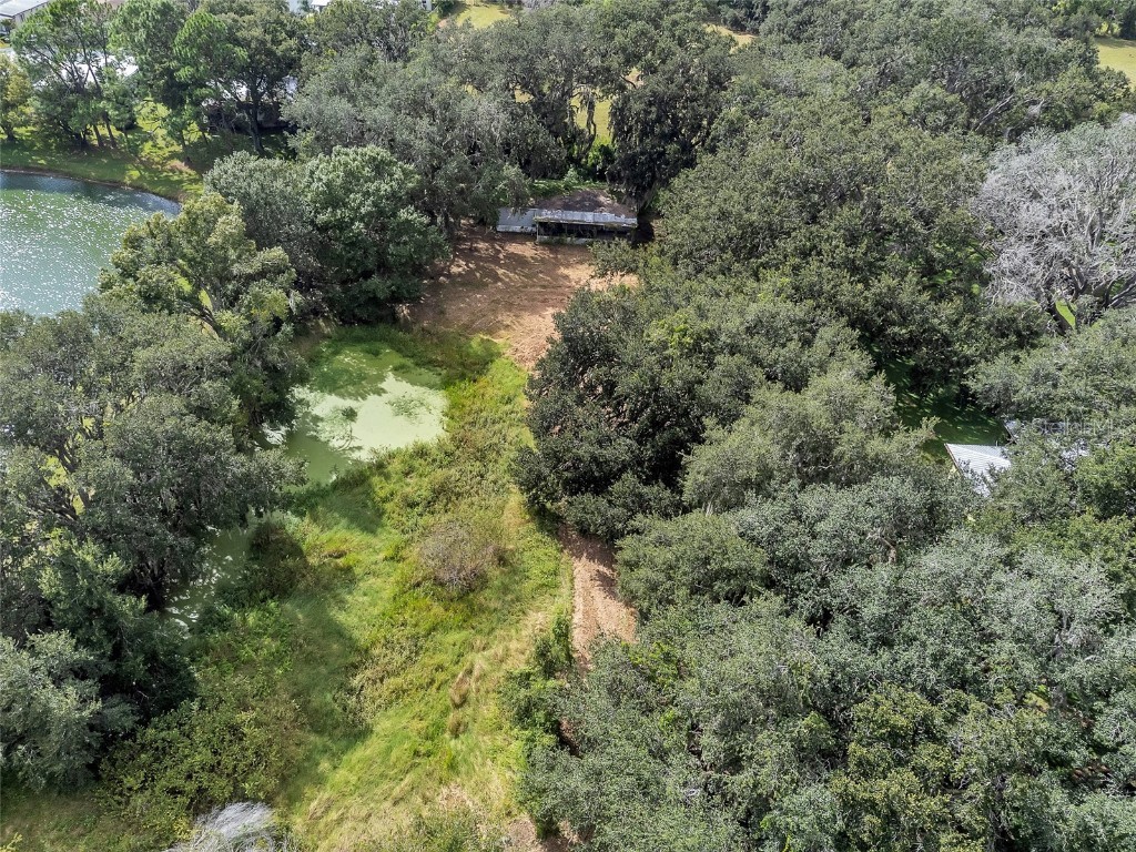 3235 Oakwood Drive Wesley Chapel FL 33543 TB8436038 image17