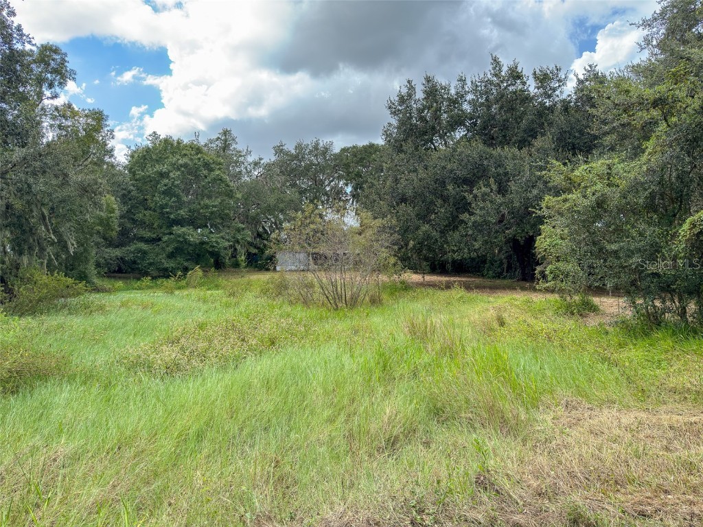 3235 Oakwood Drive Wesley Chapel FL 33543 TB8436038 image19