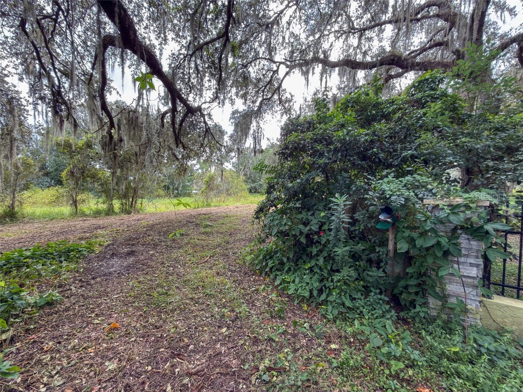 3235 Oakwood Drive Wesley Chapel FL 33543 TB8436038 image7