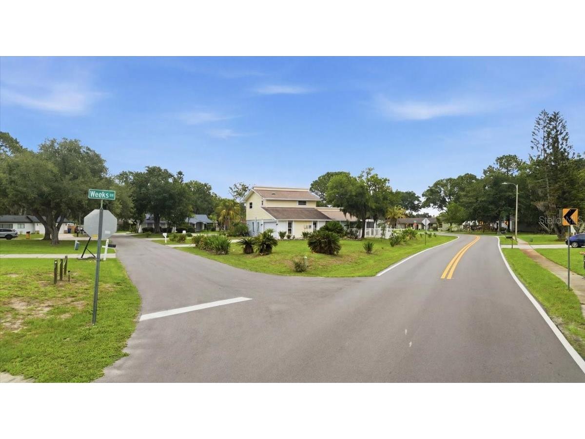 3235 Silkwood Loop Land O Lakes FL 34639 W7886284 image35
