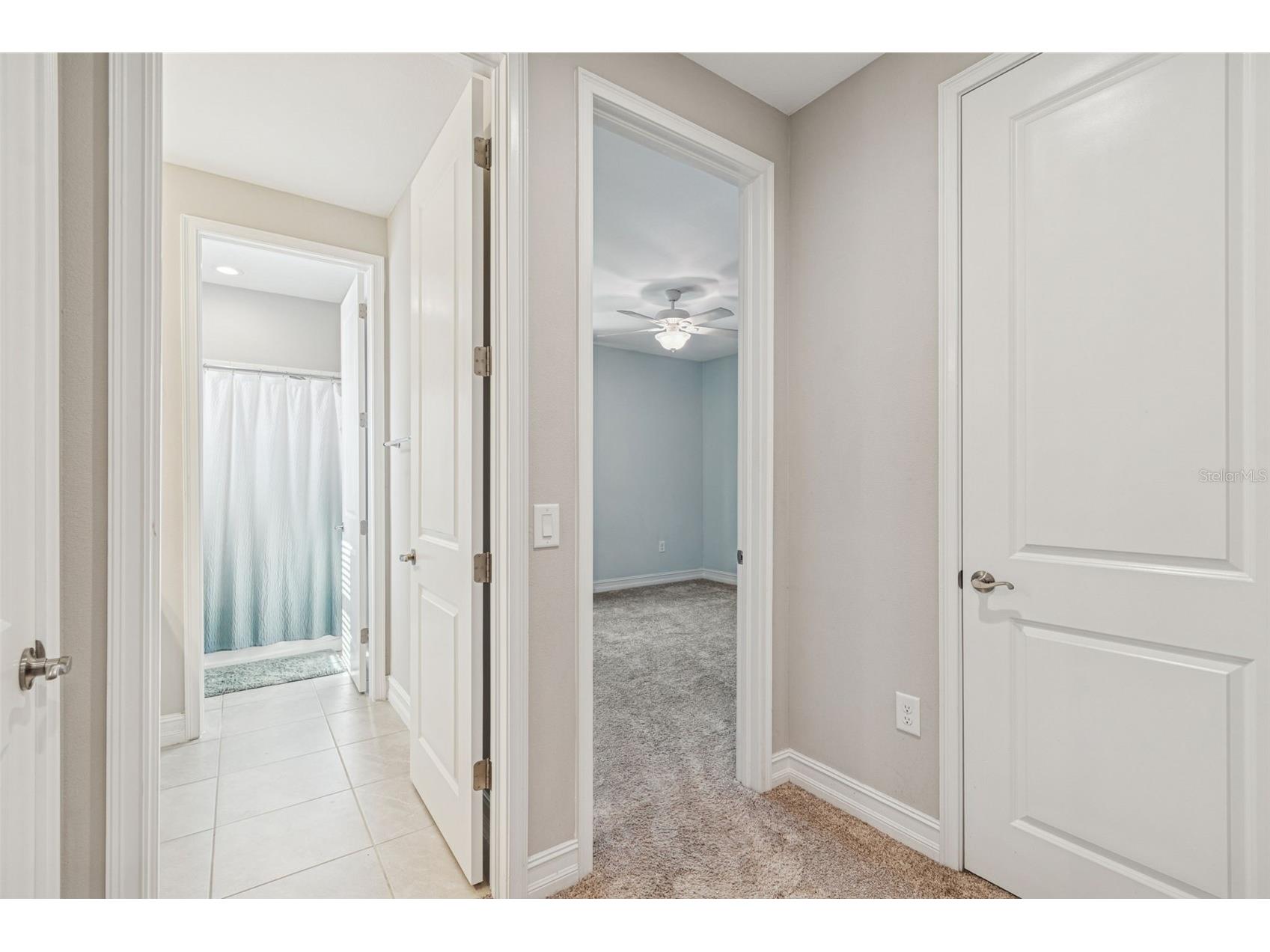 32350 Firemoss Lane Wesley Chapel FL 33543 TB8464176 image55