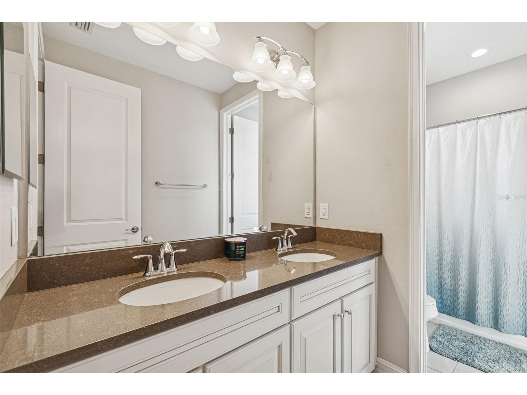 32350 Firemoss Lane Wesley Chapel FL 33543 TB8464176 image57