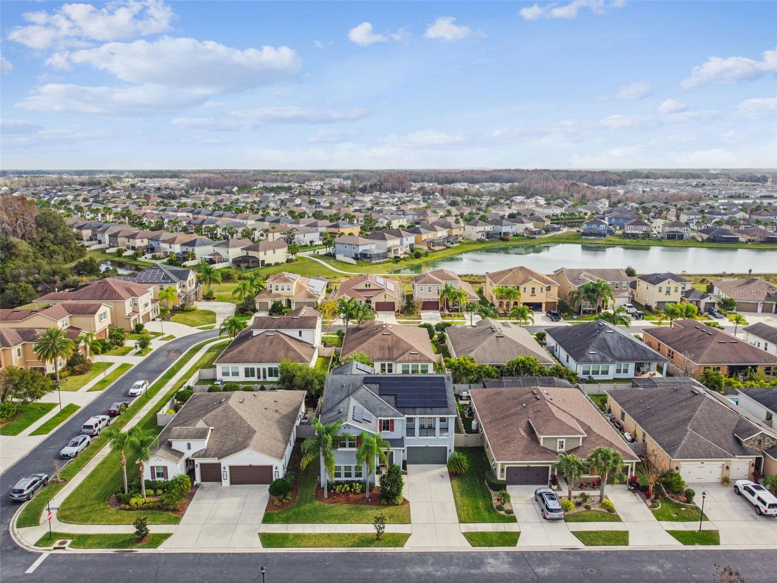 32350 Firemoss Lane Wesley Chapel FL 33543 TB8464176 image72