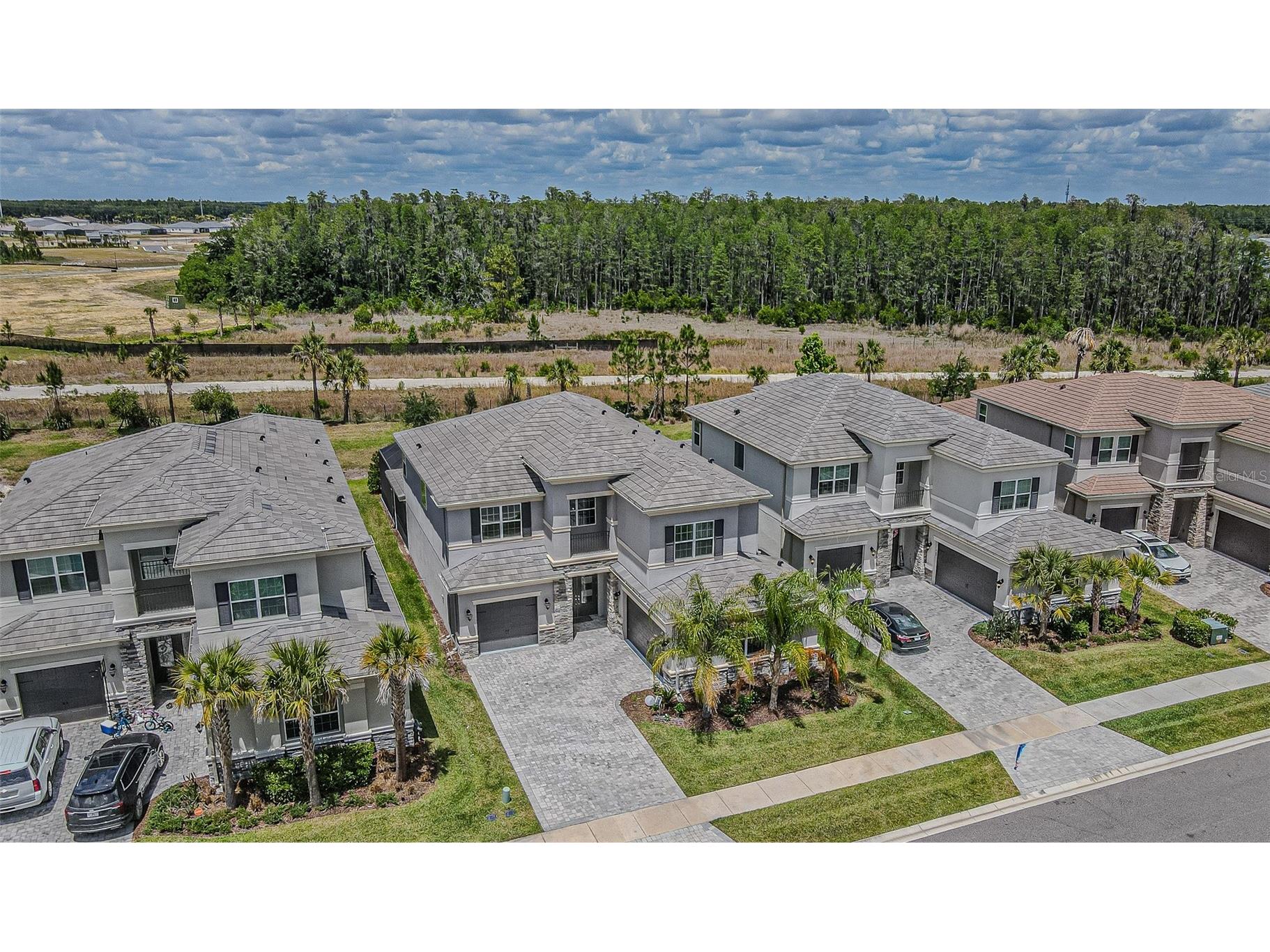 32353 Rosewood Meadow Lane Wesley Chapel FL 33543 TB8503550 image2