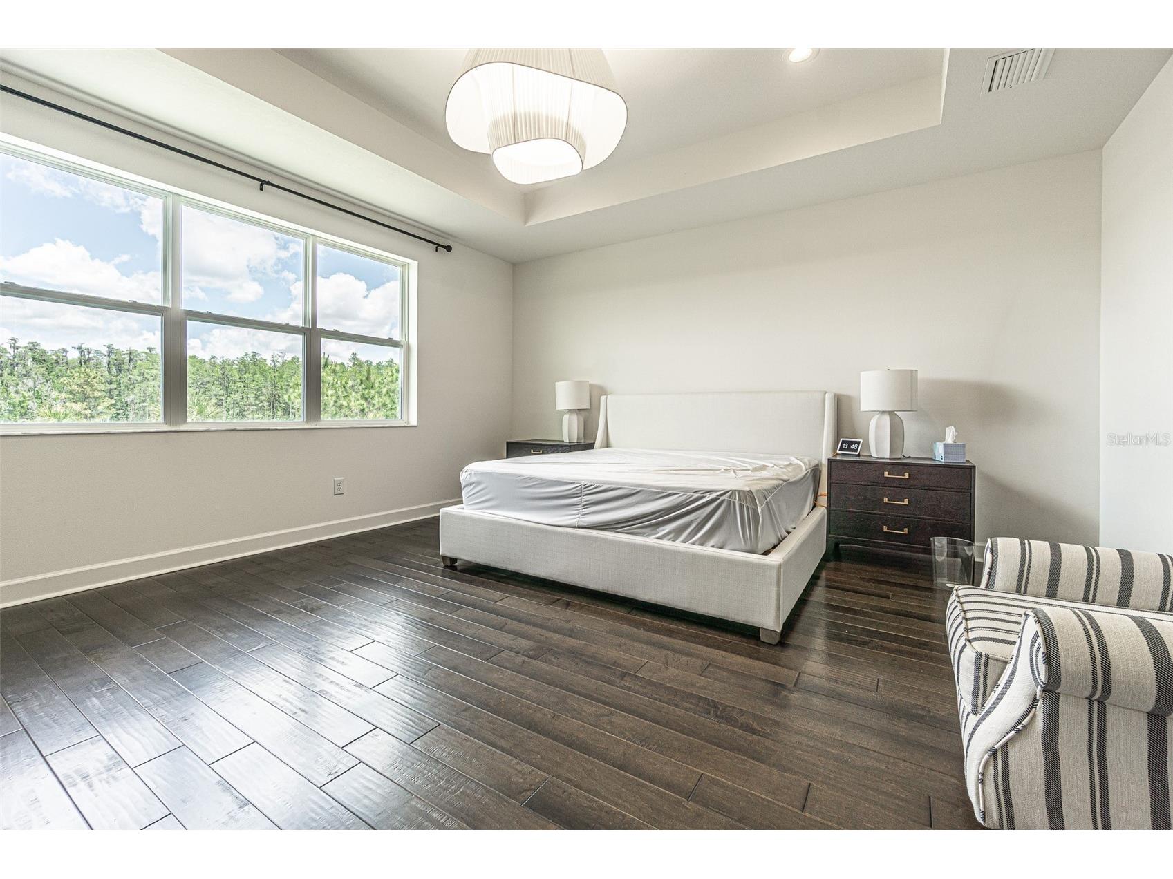 32353 Rosewood Meadow Lane Wesley Chapel FL 33543 TB8503550 image22