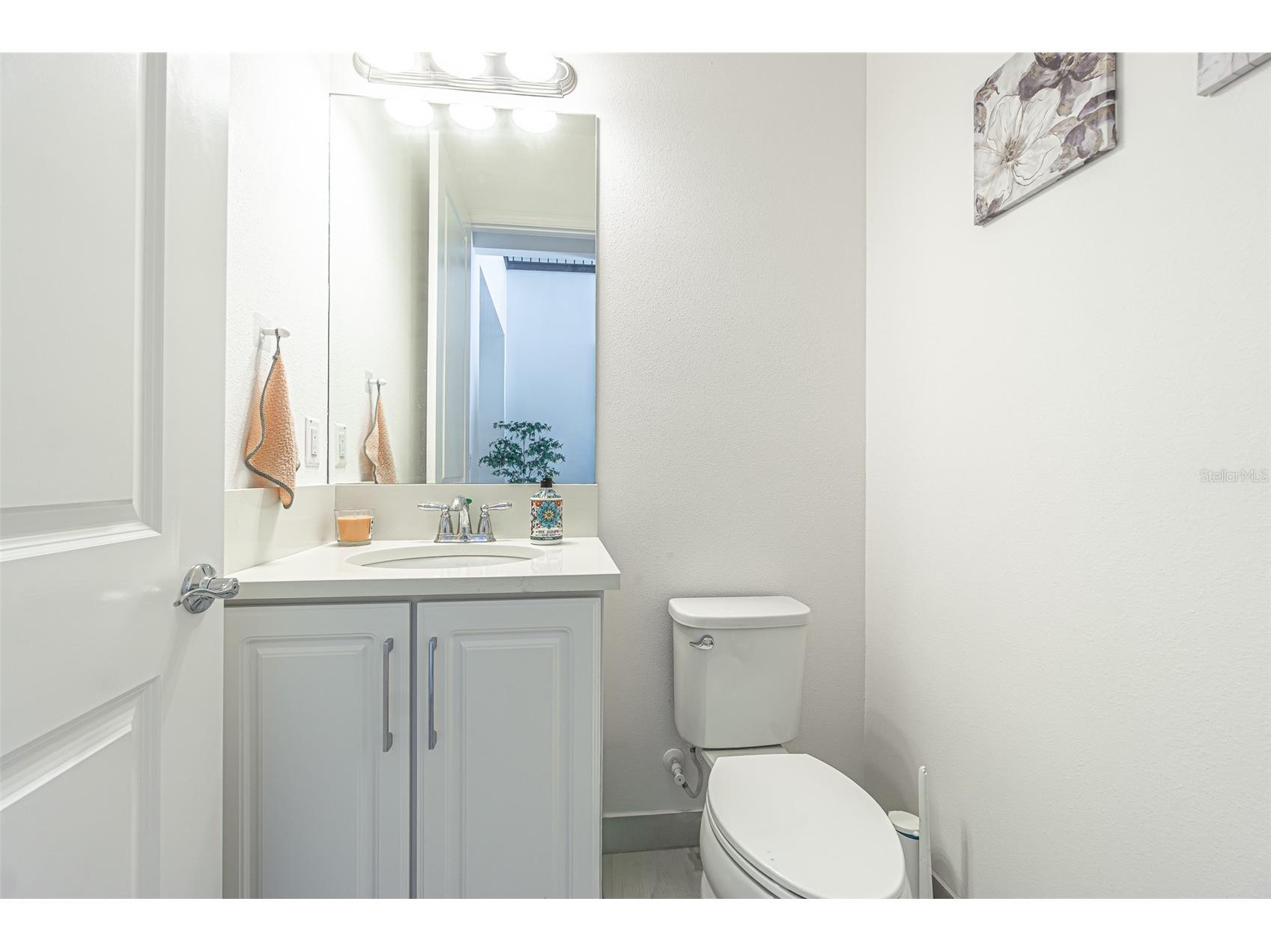 32353 Rosewood Meadow Lane Wesley Chapel FL 33543 TB8503550 image40