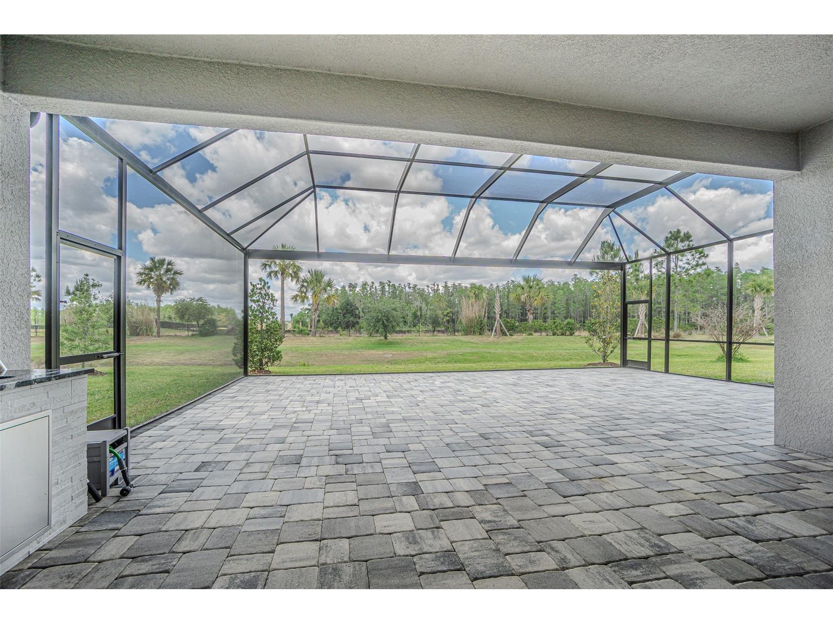 32353 Rosewood Meadow Lane Wesley Chapel FL 33543 TB8503550 image47