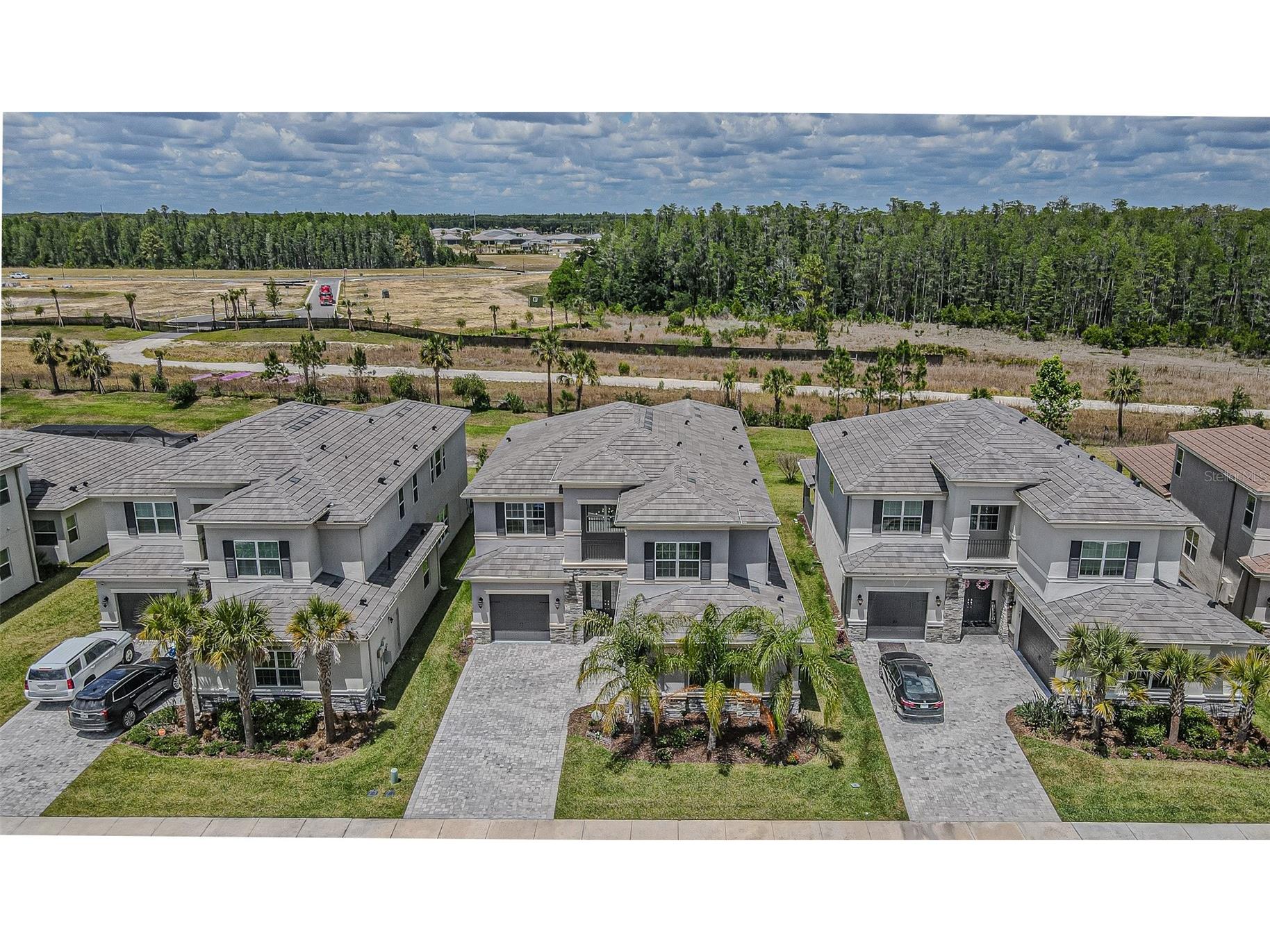 32353 Rosewood Meadow Lane Wesley Chapel FL 33543 TB8503550 image52
