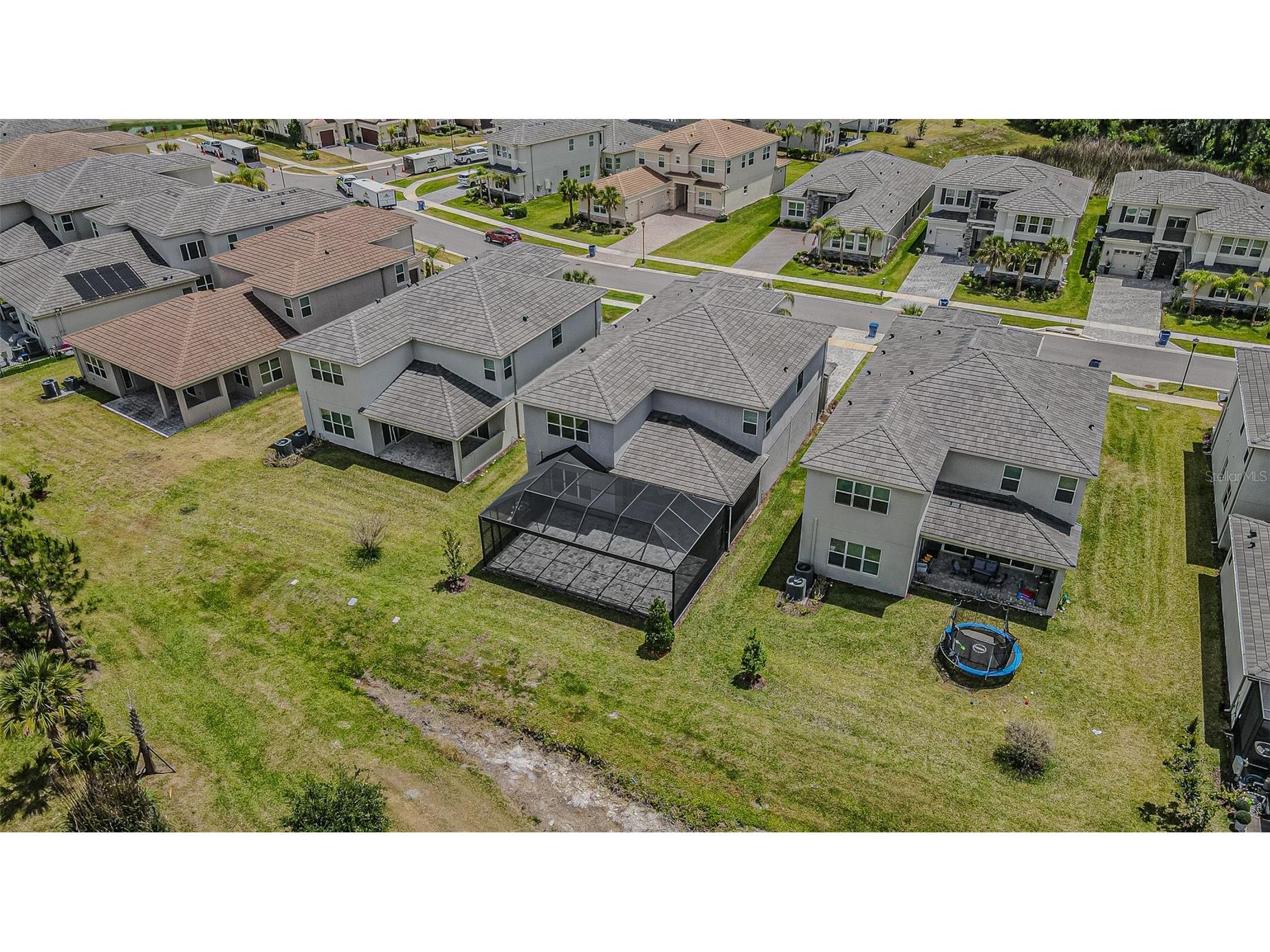 32353 Rosewood Meadow Lane Wesley Chapel FL 33543 TB8503550 image54