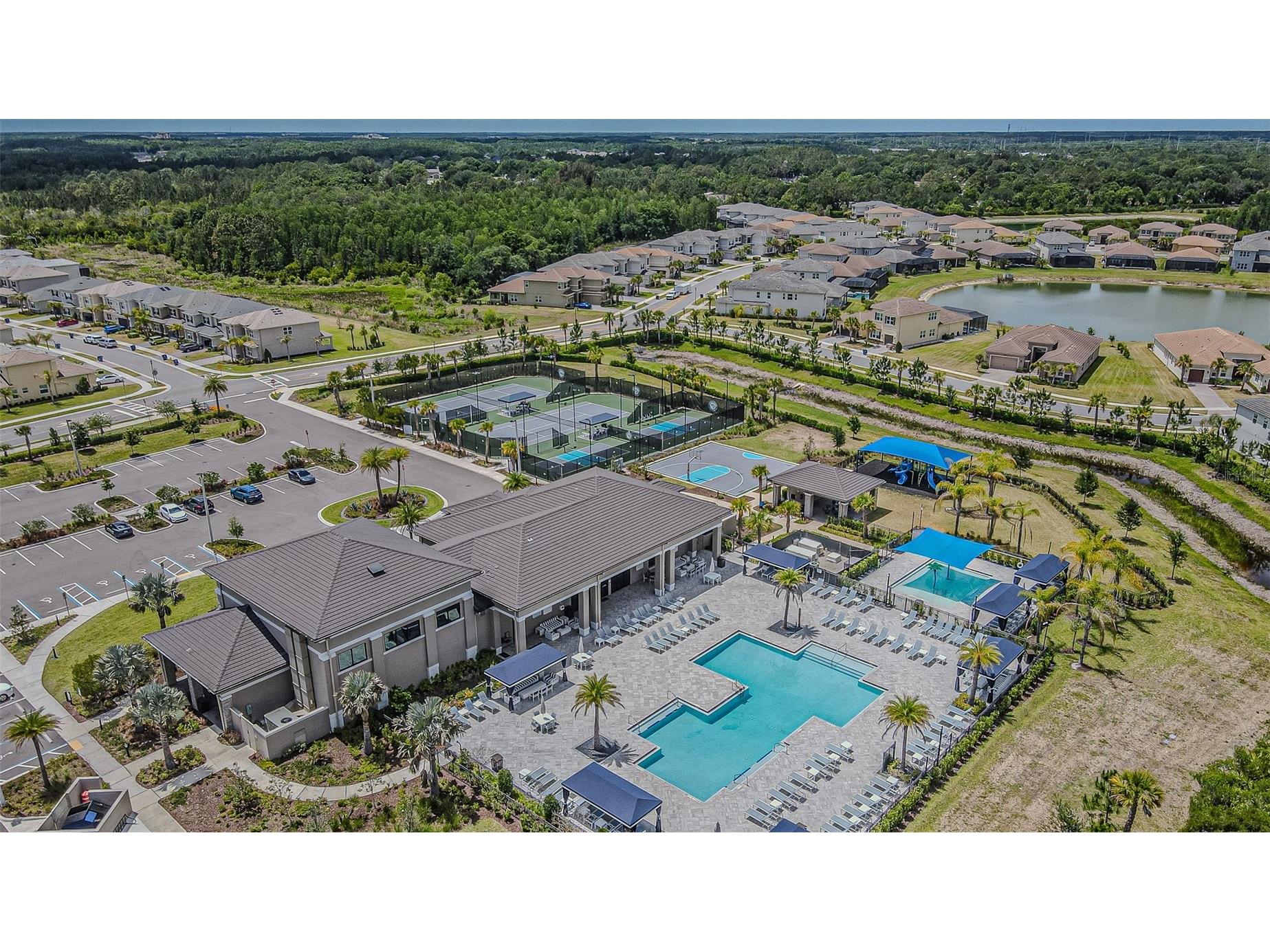 32353 Rosewood Meadow Lane Wesley Chapel FL 33543 TB8503550 image59