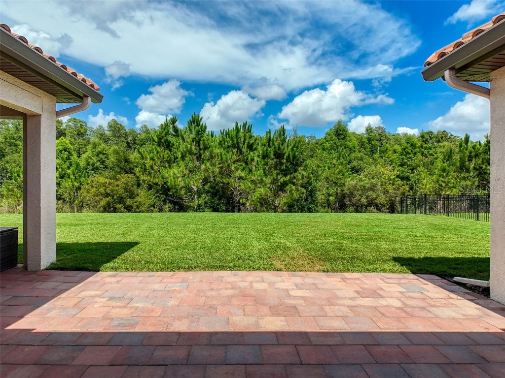 3236 Barbour Trail Odessa FL 33556 TB8394657 image48