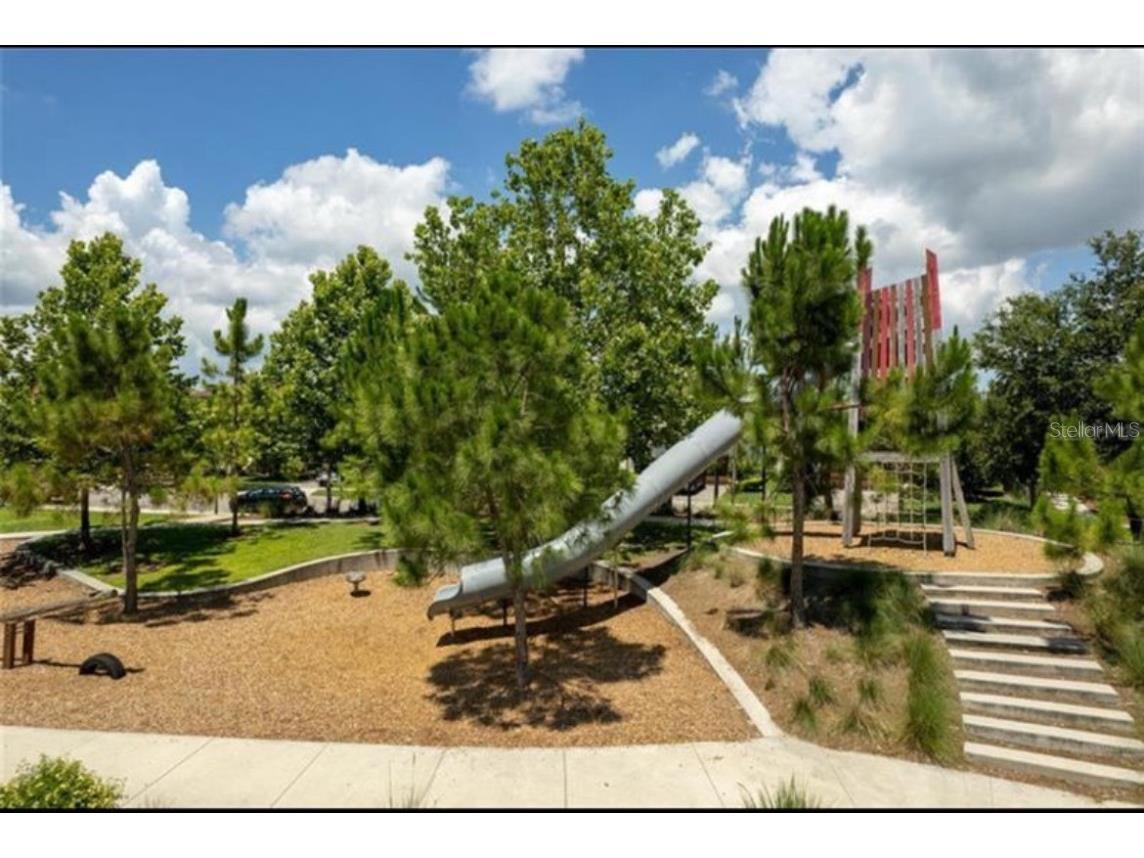 3236 Barbour Trail Odessa FL 33556 TB8394657 image56