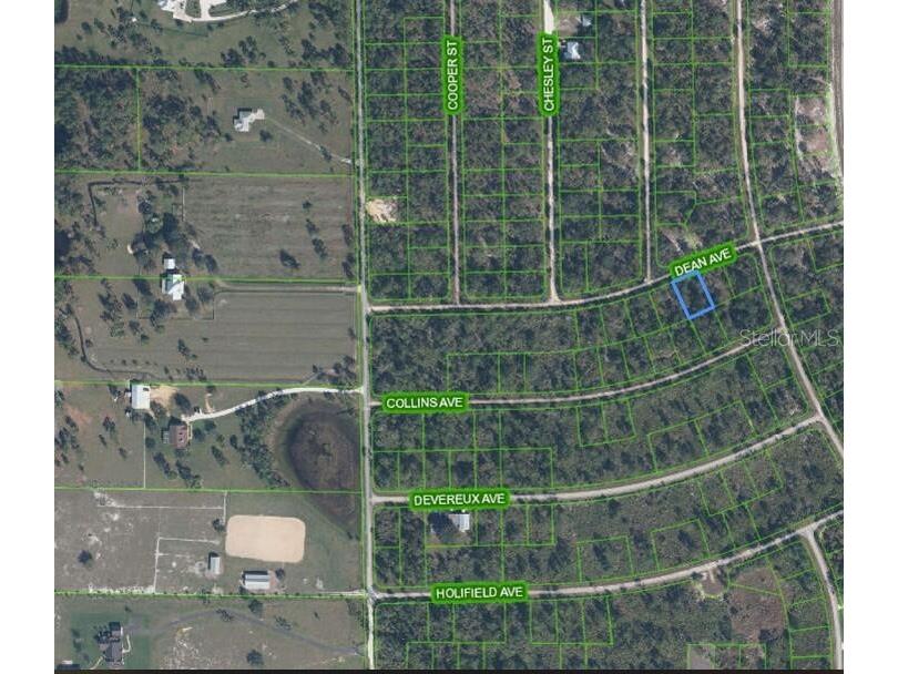 3236 Dean Avenue Lake Placid FL 33852 O6254894 image1