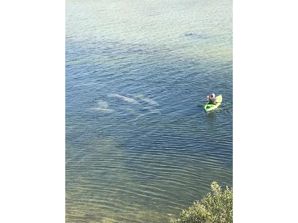 3236 Gulf Winds Circle Hernando Beach FL 34607 - GULF TB8391162 image93