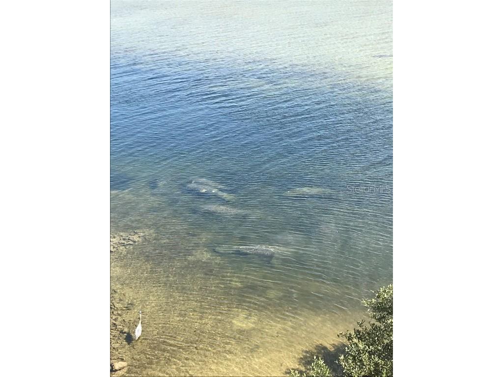 3236 Gulf Winds Circle Hernando Beach FL 34607 - GULF TB8391162 image94