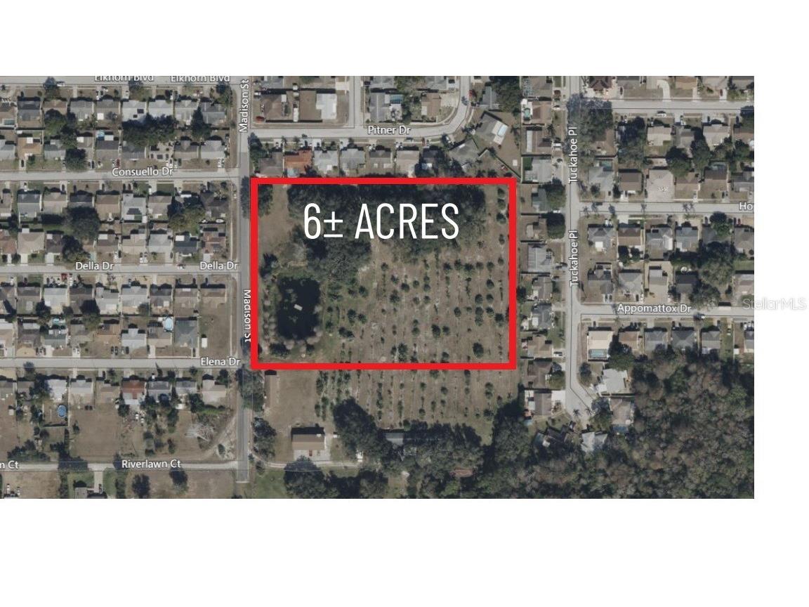 3236 Madison Street Holiday FL 34690 W7876795 image1