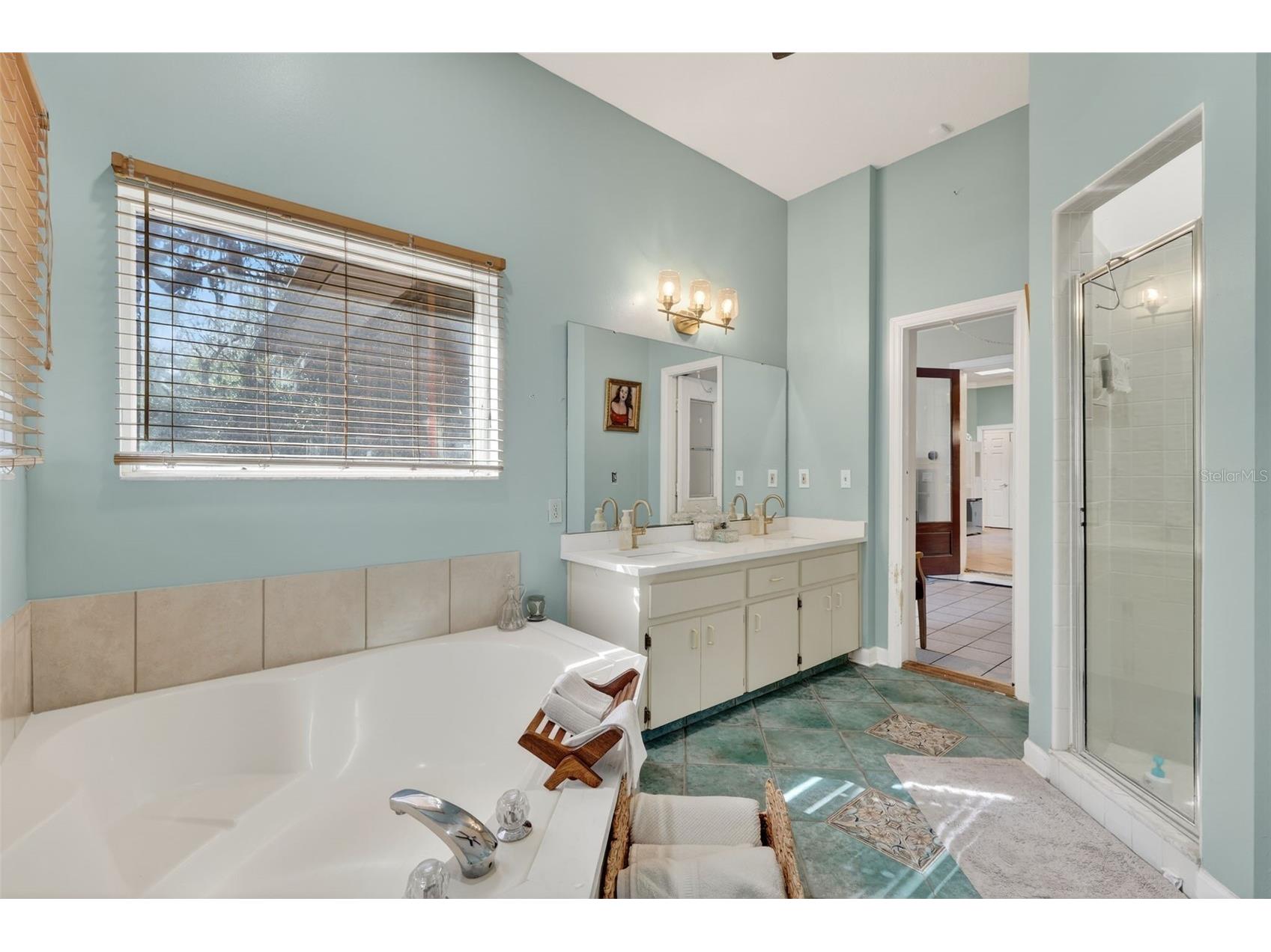 3236 Paisley Circle Orlando FL 32817 O6373912 image34