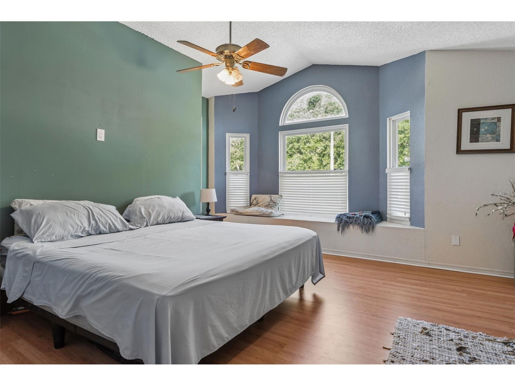 3237 Montrose Circle Palm Harbor FL 34684 TB8511743 image18