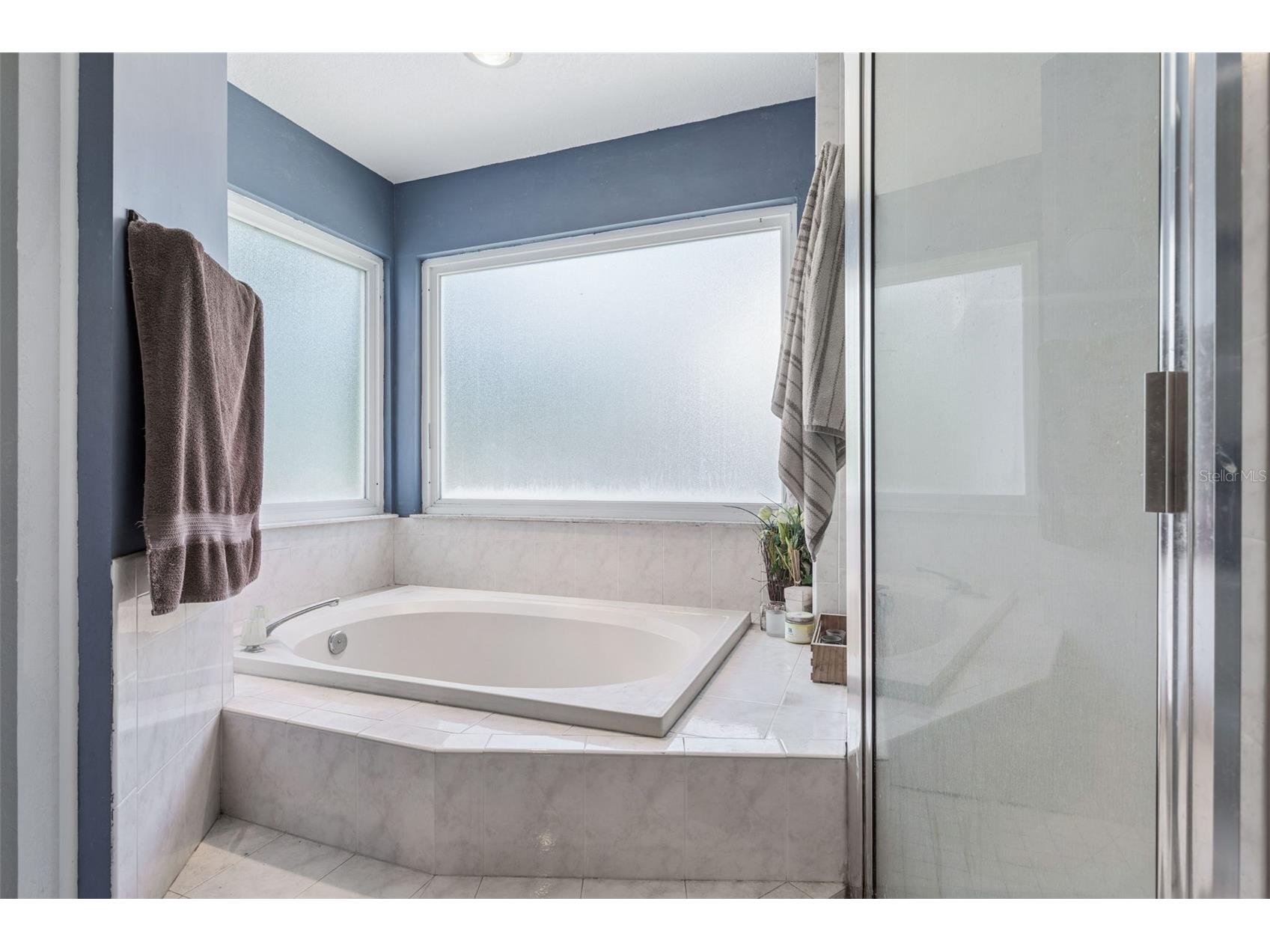 3237 Montrose Circle Palm Harbor FL 34684 TB8511743 image20